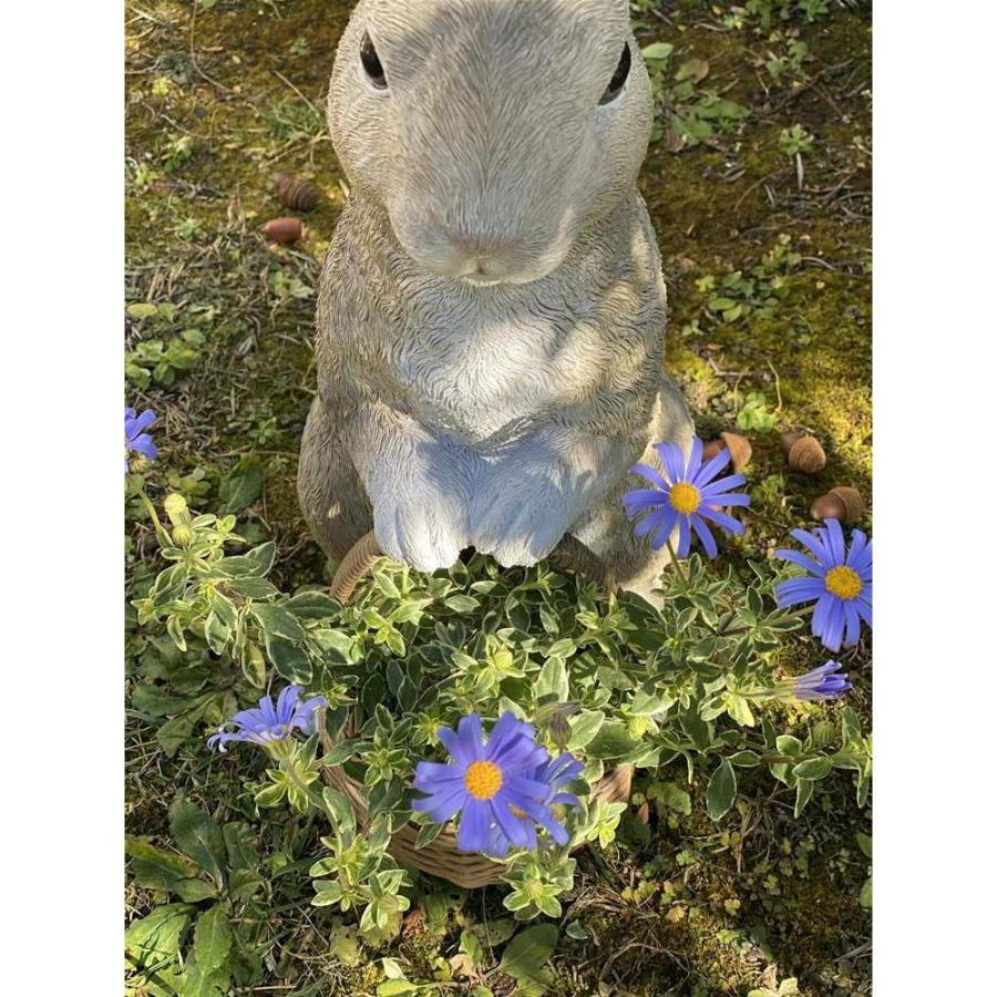 野うさぎのお迎えプランター プランター 植木鉢 鉢カバー G00506の画像