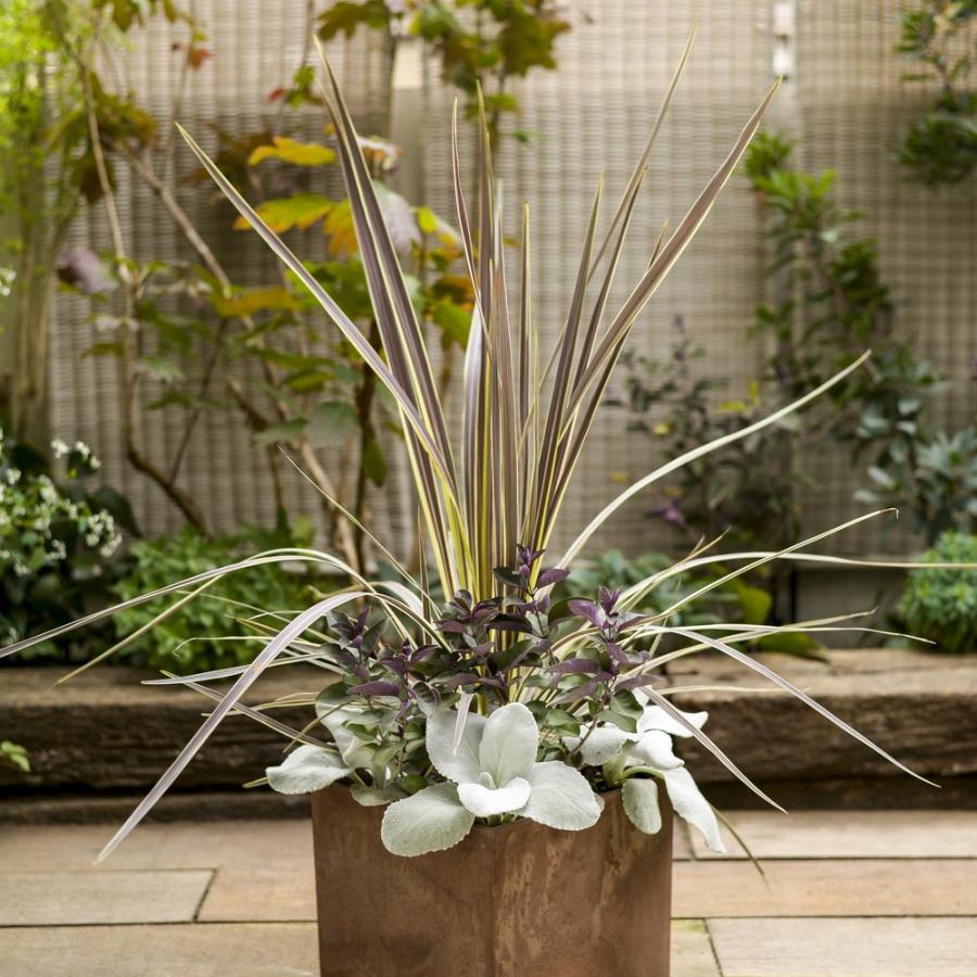 アートストーンプランター キューブM プランター 植木鉢 鉢カバー G01218の画像