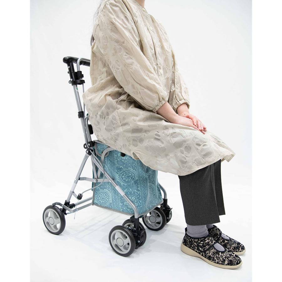 dinos（ディノス） リズムRWCフィンレイソン シルバーカー 生活雑貨