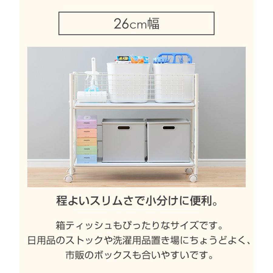 dinos（ディノス） ≪幅26cm≫押し入れ収納ラックシリーズ 衣類収納