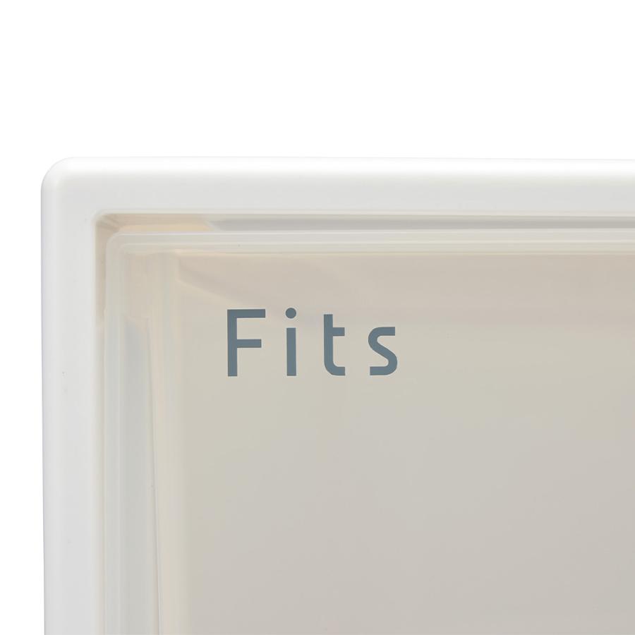 Fits フィッツ収納ケース クローゼットタイプ 奥行53cm幅44cm高さ30cm 2個組 小物収納 フリーボックス 収納ボックス 644909の画像