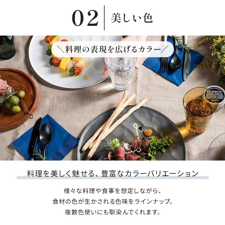 ARAS（エイラス） ウェーブ 大皿27.5cm 割れないお皿 1枚（ギフト