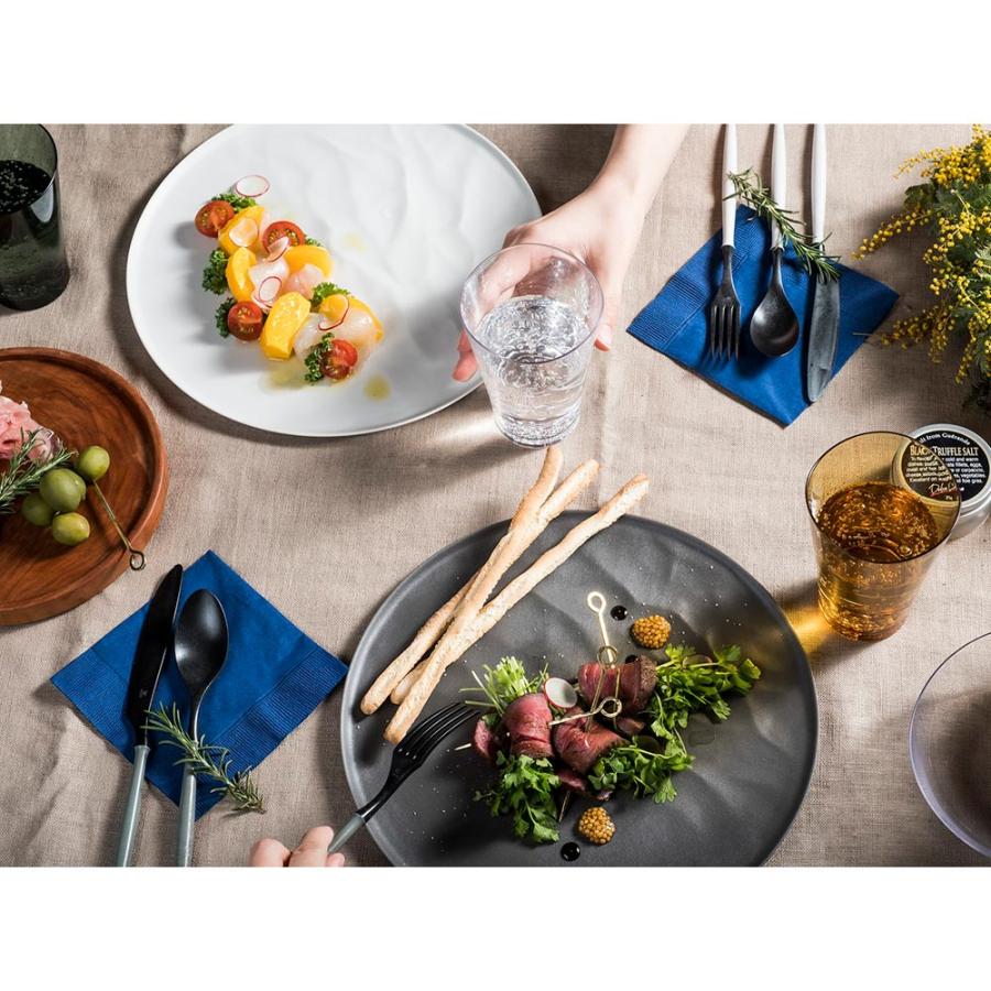 ARASエイラス　お皿セット dinos（ディノス） エイラス 割れない皿 食器 食洗器対応 日本製 国産