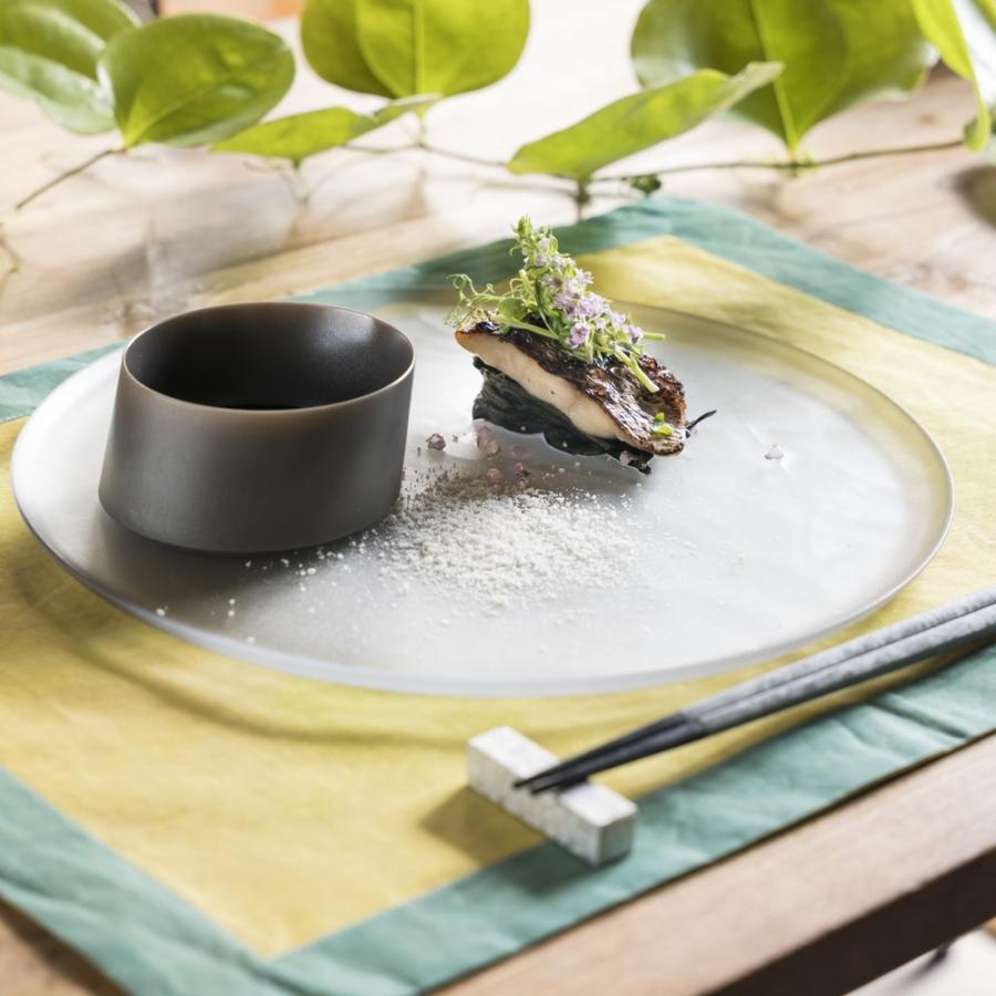 ARAS（エイラス） 割れない皿 食器 食洗器対応 日本製 国産 割れ ない