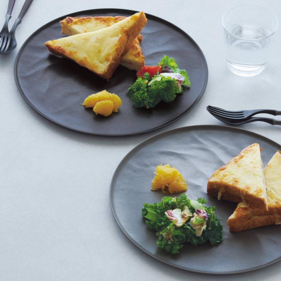 【新品未使用】ARAS エイラス　食器　セット dinos エイラス 割れない皿 食器 食洗器対応 日本製 国産 割れ