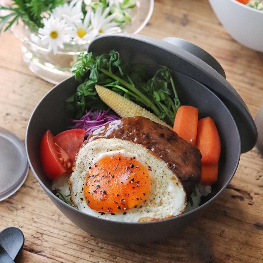 ARAS（エイラス） どんぶり鉢 割れないお皿 食器 662820 ディノス