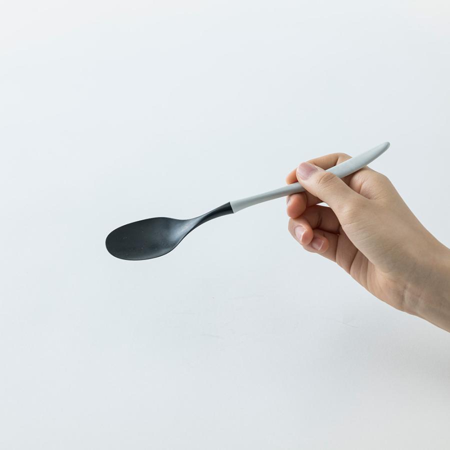 ARAS（エイラス） カレースプーン 同色2本組 食器 箸 662832 ディノス
