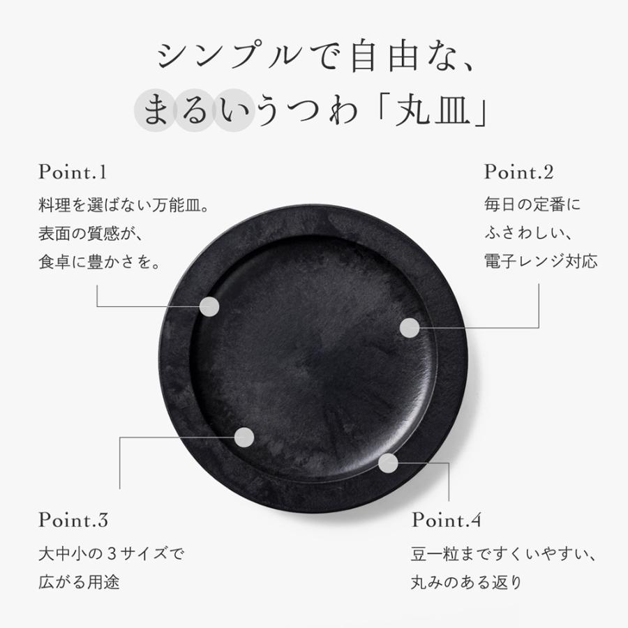 ARAS（エイラス） 割れない皿 食器 食洗器対応 日本製 国産 割れ ない
