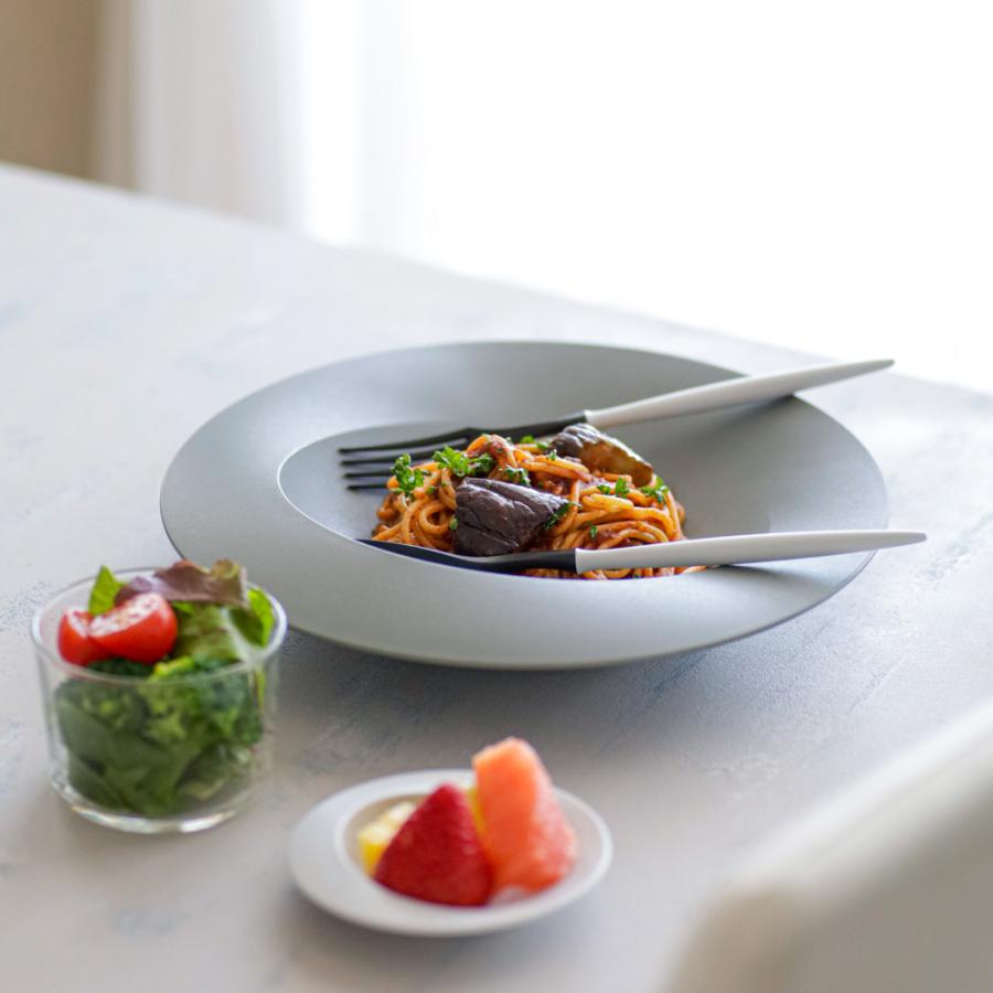 ARAS（エイラス） ディノス大人気10点セット 特典付き 食器 平皿 長皿