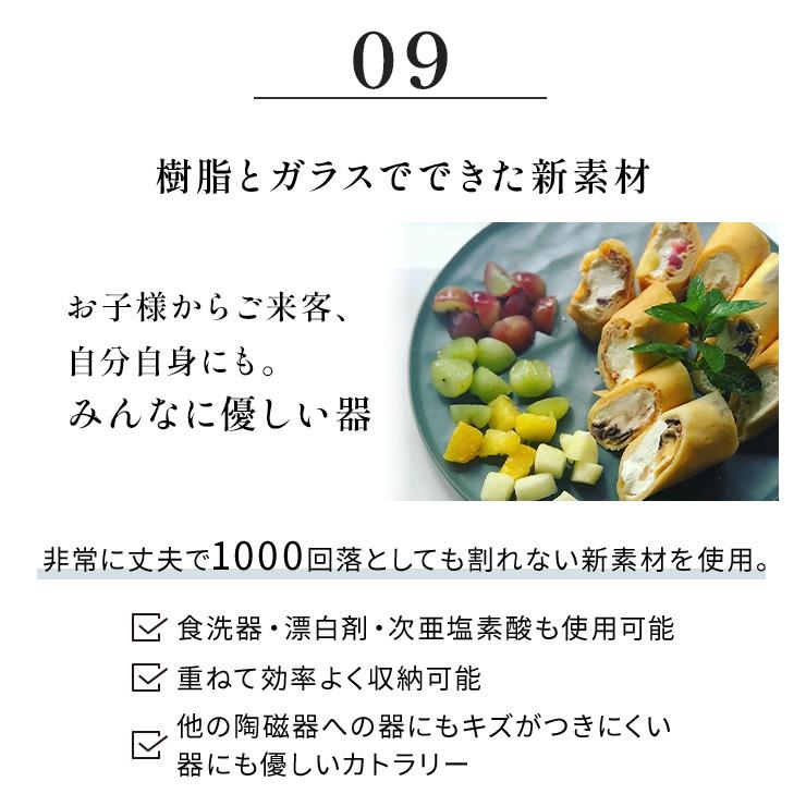 ARAS（エイラス） まとめて揃うディノス大人気18点セット 特典付き