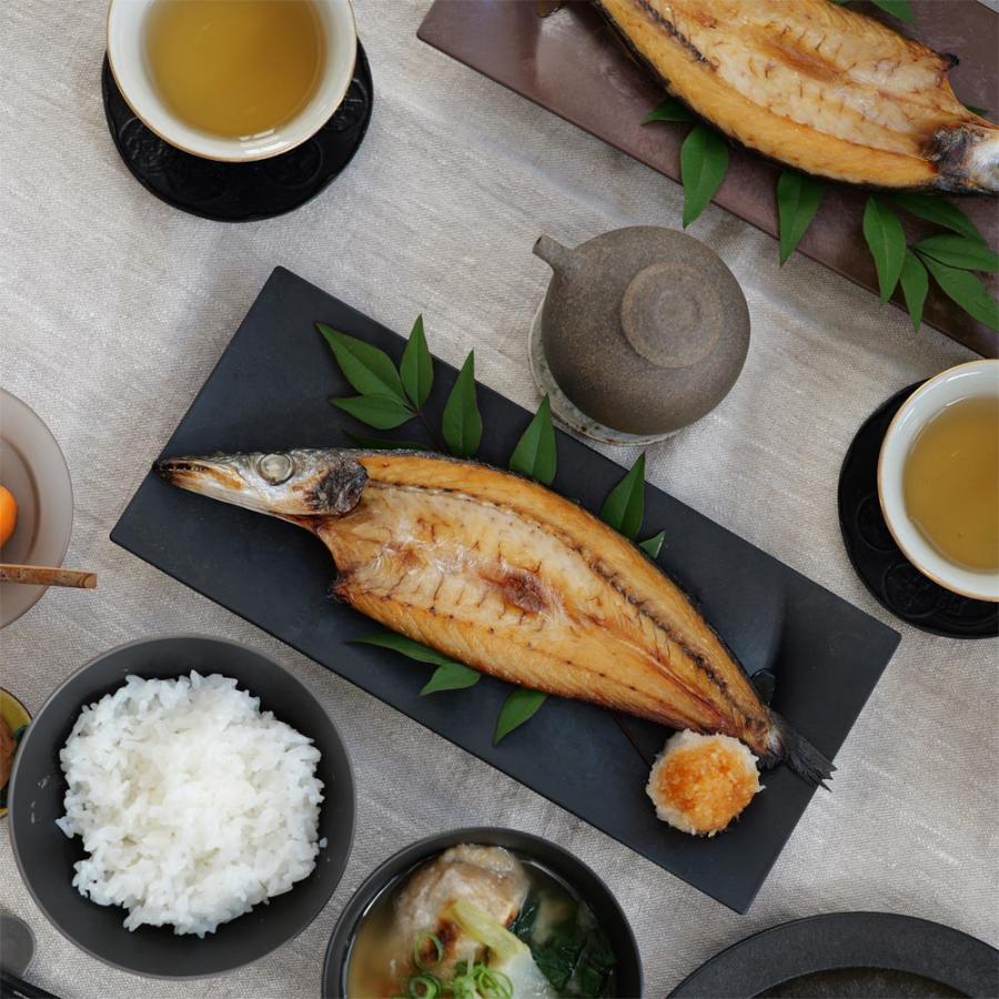 ARAS（エイラス） 割れない皿 割れないうつわ 食器 食洗器対応 日本製