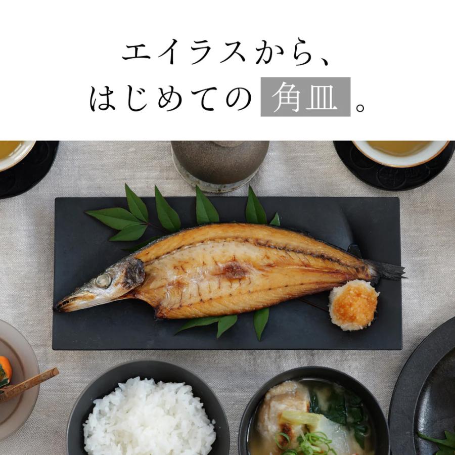 ARAS（エイラス） 割れない皿 割れないうつわ 食器 食洗器対応 日本製