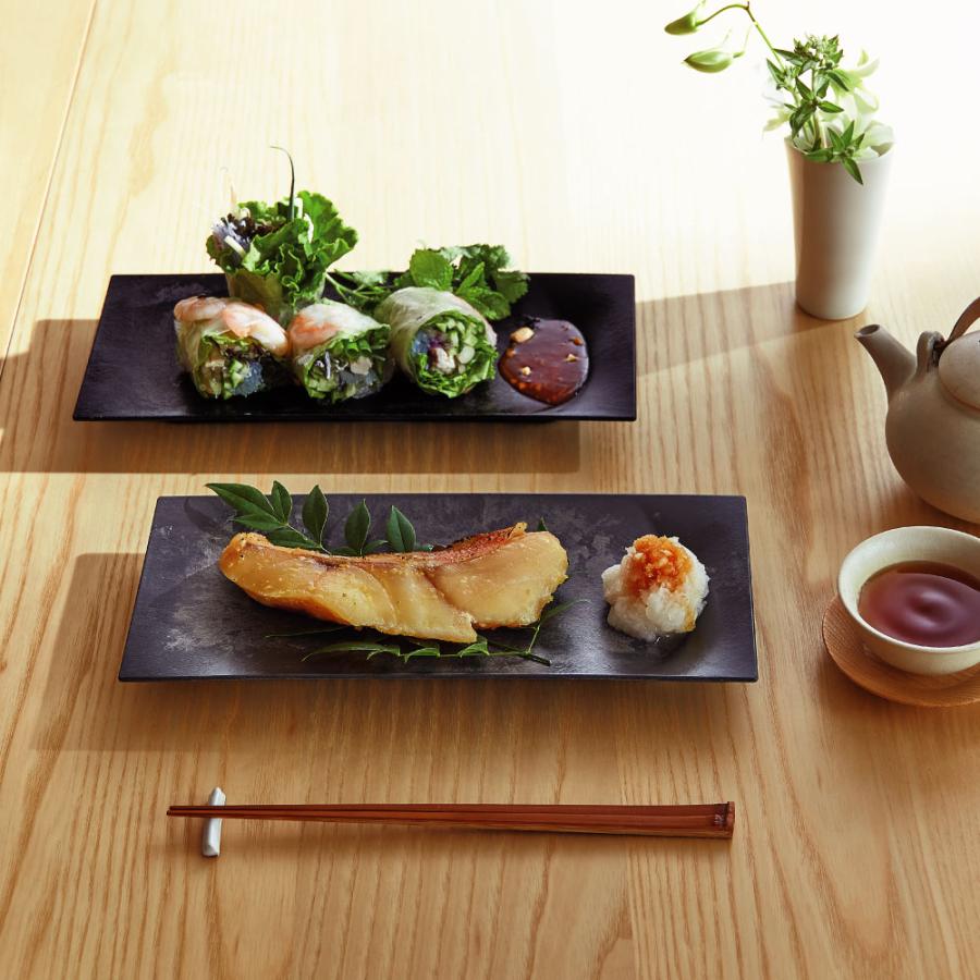 ARAS（エイラス） 割れない皿 食器 日本製 国産 割れ ない 皿 おしゃれ
