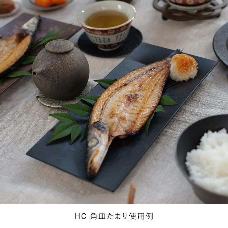 ARAS（エイラス） まとめて揃うHCディノス特別14点セット 電子