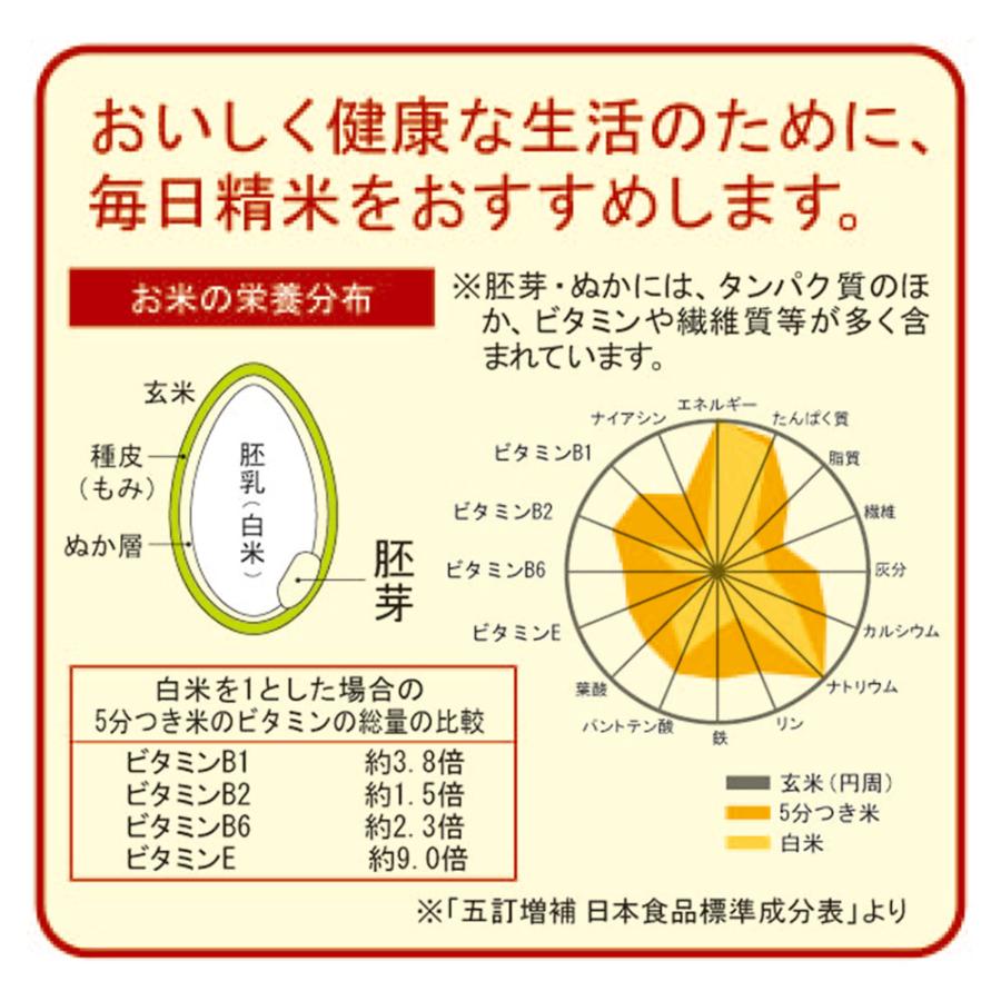 TWINBIRD/ツインバード 家庭用コンパクト精米器 １-５合 キッチン家電 調理家電 KR0163 | dinos | 09