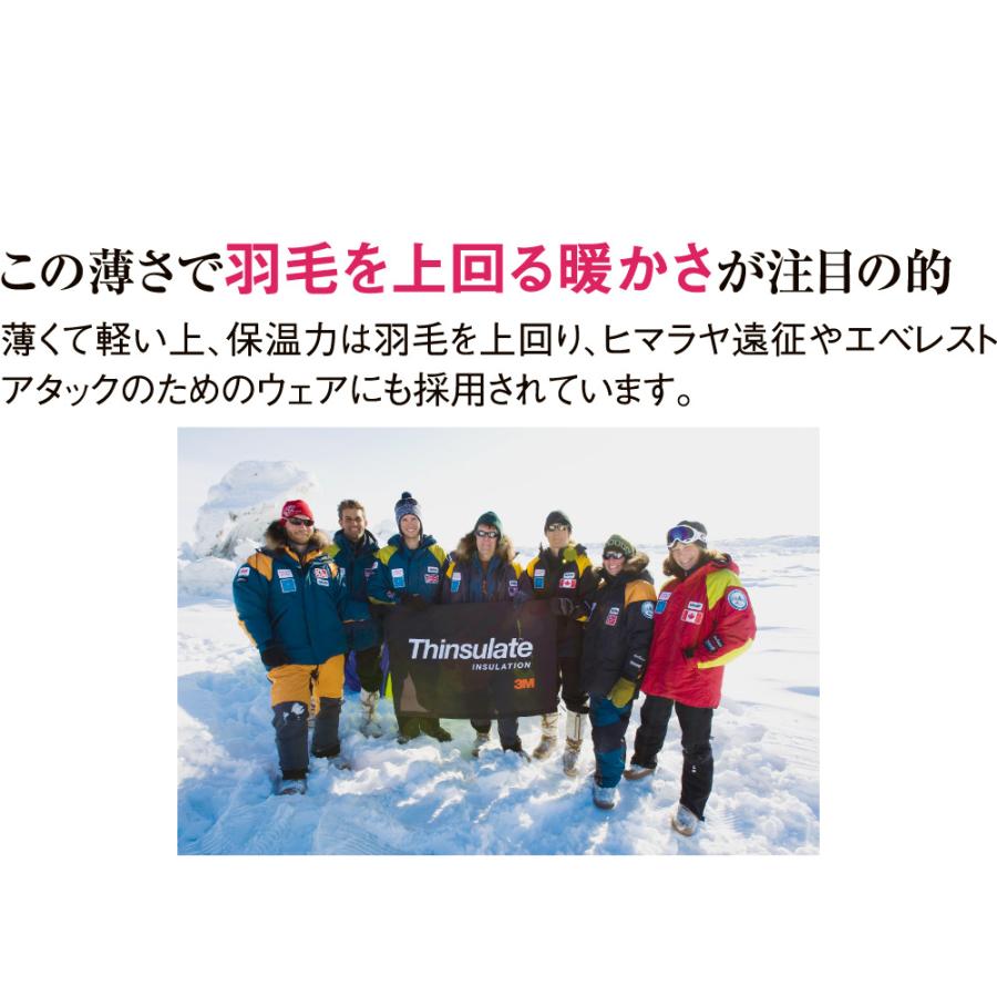 毛布 掛け毛布 ブランケット ≪クイーンロング≫ シンサレートTM 高機能中わた素材 ケット 816722｜dinos｜04