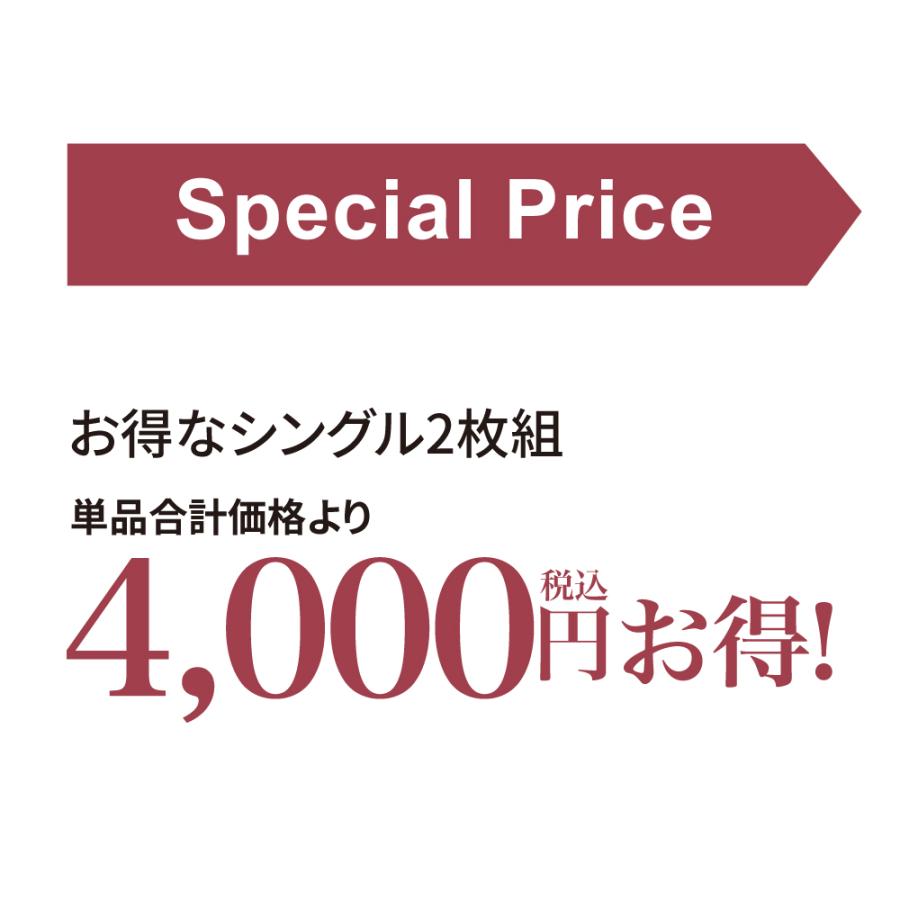 ICHIBA（市場） 季節外れだから安い！ フランス産5つ星羽毛掛け布団 お