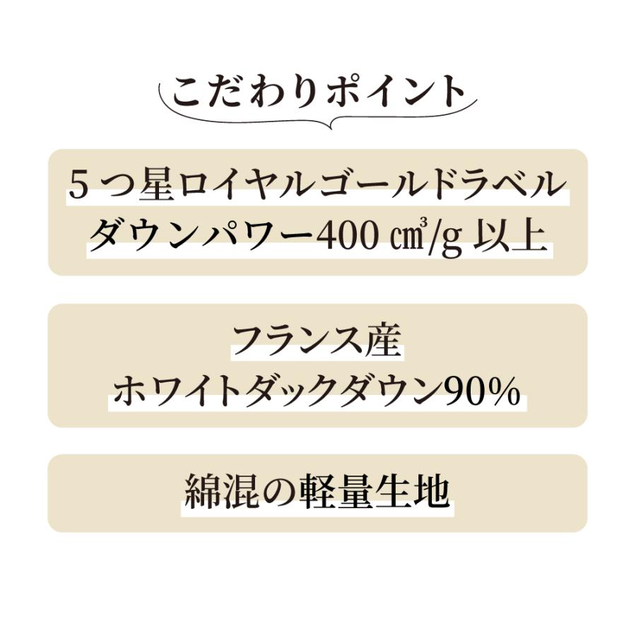 ICHIBA（市場） 季節外れだから安い！ フランス産5つ星羽毛掛け布団 お
