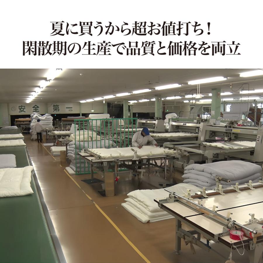 ICHIBA（市場） 季節外れだから安い！ フランス産5つ星羽毛掛け布団 お