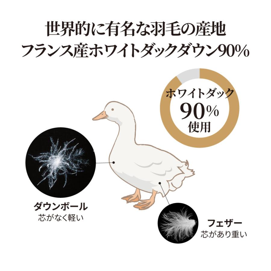 ICHIBA（市場） 季節外れだから安い！ フランス産5つ星羽毛掛け布団 お