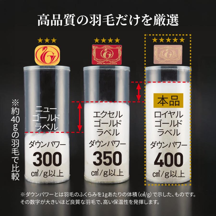 ICHIBA（市場） 季節外れだから安い！ フランス産5つ星羽毛掛け布団 お