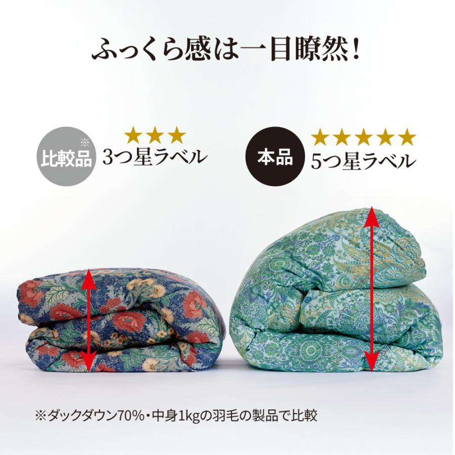 ICHIBA（市場） 季節外れだから安い！ フランス産5つ星羽毛掛け布団 お