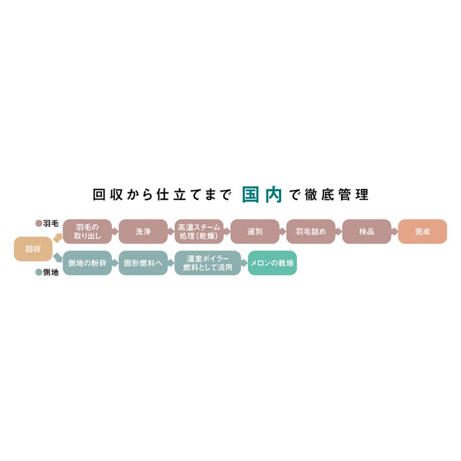 羽毛掛け布団 ≪クイーンロング≫ リサイクル羽毛掛け布団〈reumo〉 815905｜dinos｜04