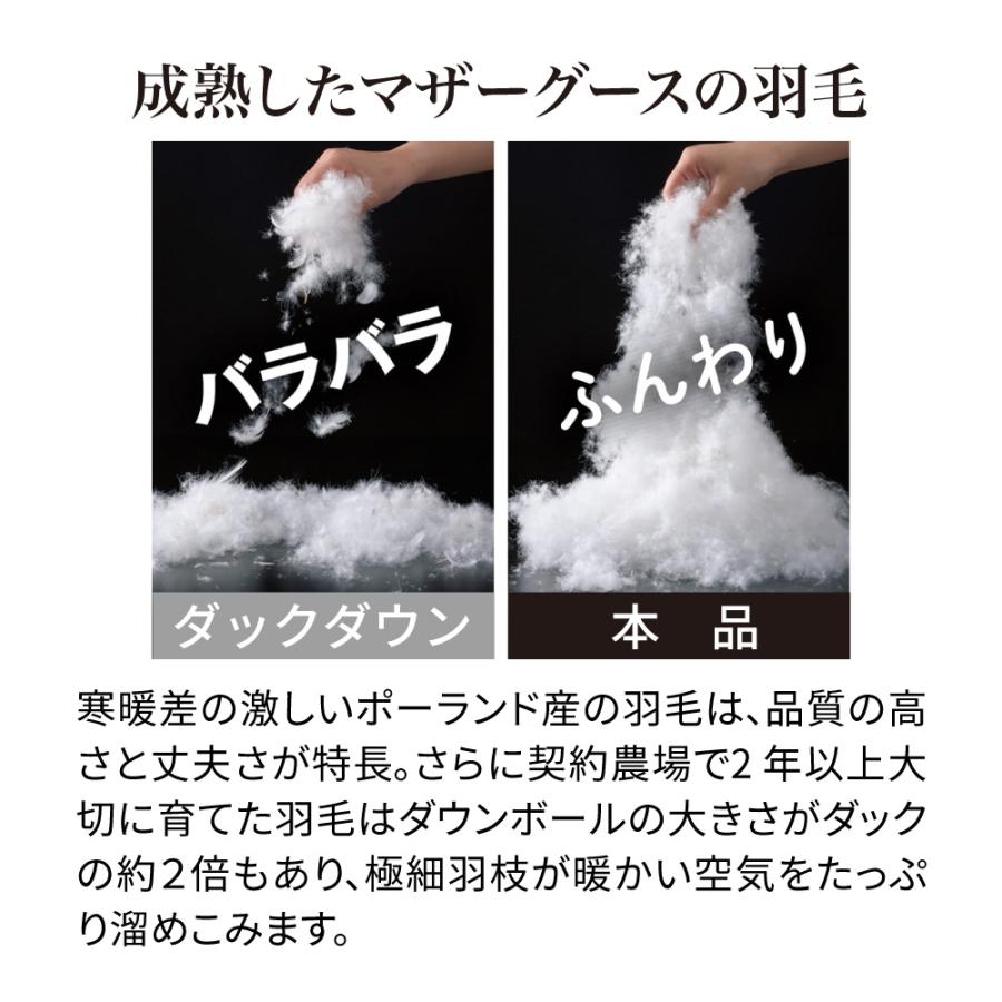 dinos（ディノス） ふとん ≪シングルロング≫最高位ラベル取得