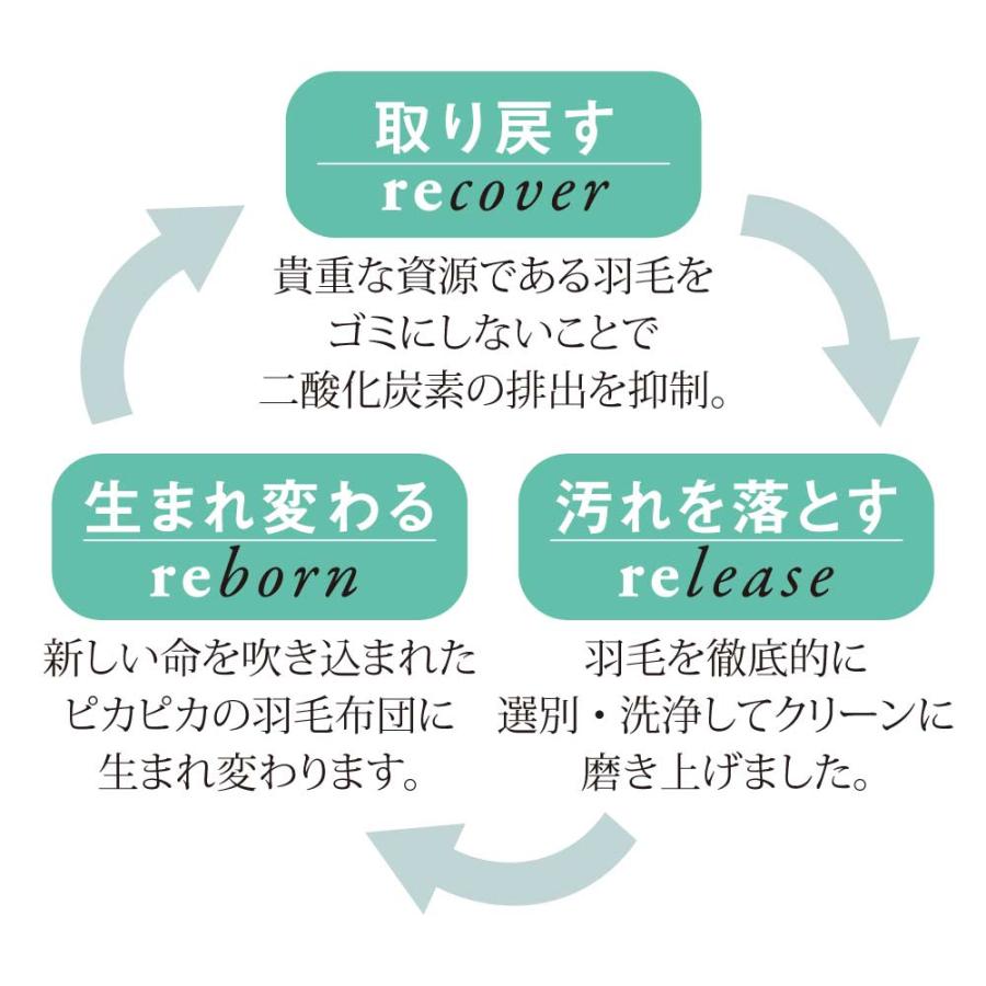 ふとん コタツ ≪【正方形】190×190cm≫ リサイクル羽毛〈reumo〉国内縫製こたつ掛け布団 こたつ こたつ布団 611224_6
