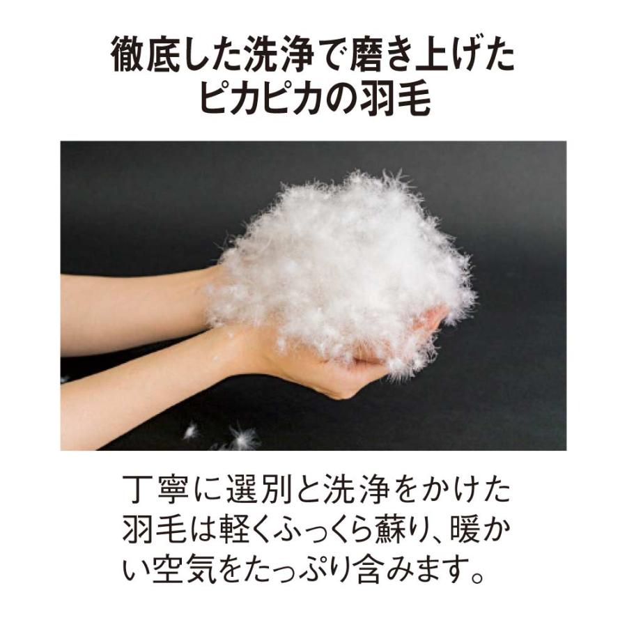 ふとん コタツ ≪【正方形】190×190cm≫ リサイクル羽毛〈reumo〉国内縫製こたつ掛け布団 こたつ こたつ布団 611224_7