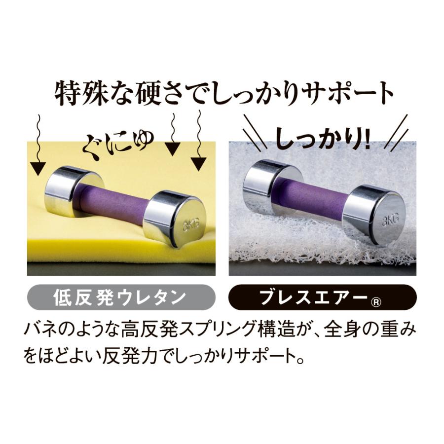 dinos（ディノス） ≪約55×205cm≫ ブレスエアー（R）マルチパッド