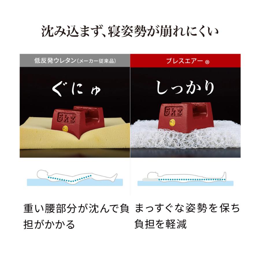 dinos（ディノス） 三つ折り 敷布団 ≪シングル≫朝が違う。リッチな