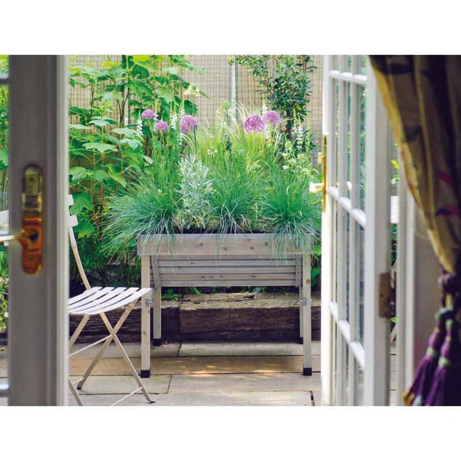 菜園プランター ベジトラグ バルコニーサイズ G ディノス Paypayモール店 通販 Paypayモール