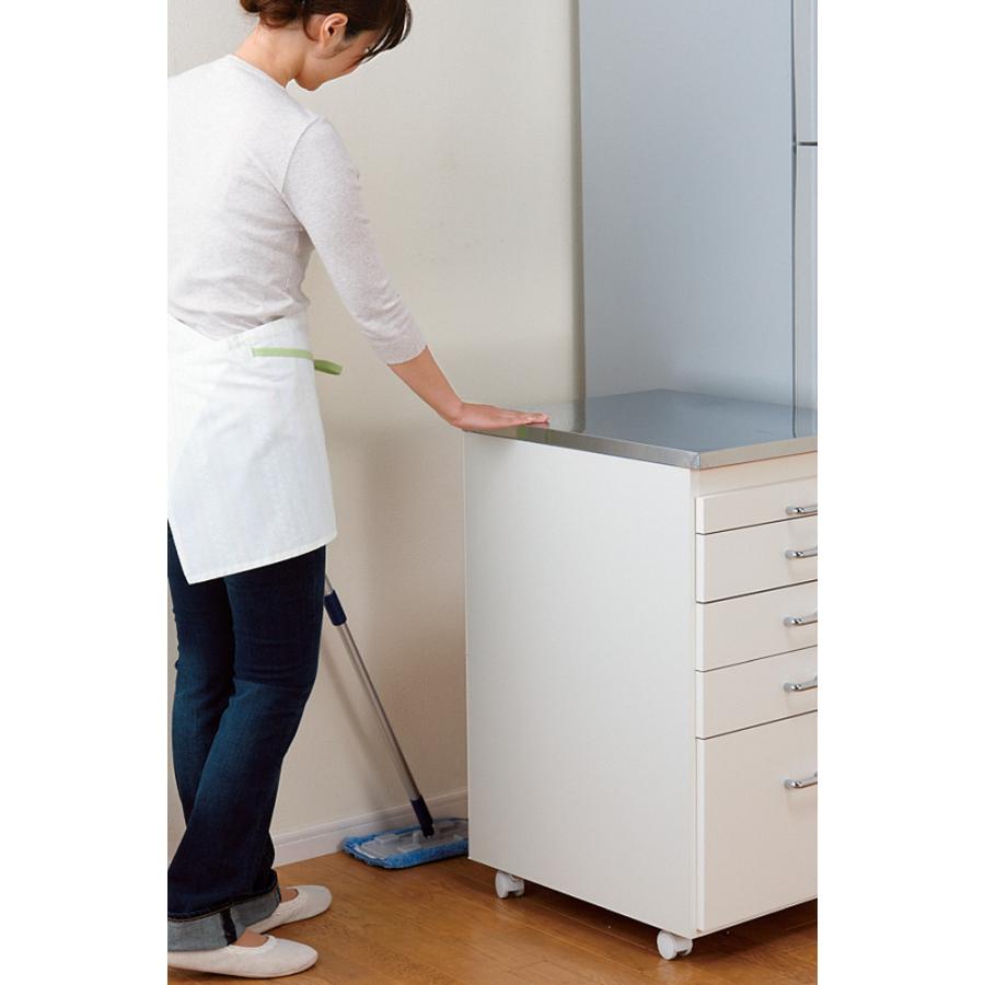 dinos（ディノス） ［幅25奥行55cm］ ステンレス天板隙間収納 引き出し