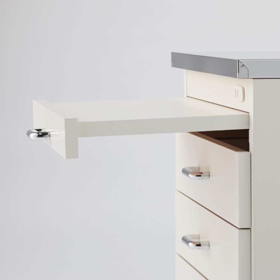 dinos ステンレス天板 隙間収納 引き出しタイプ 完成品 日本製 幅15cm 幅15奥行55cm］ ステンレス天板隙間収納 引き出しタイプ 完成品 日本製