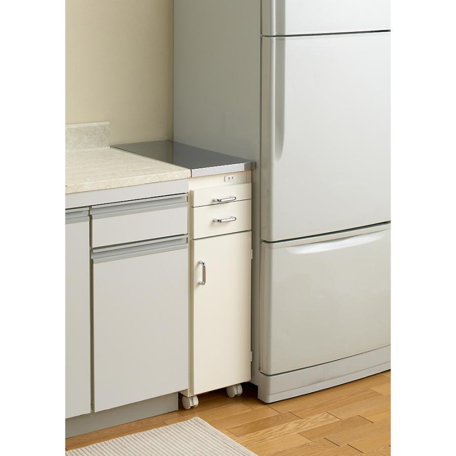 dinos（ディノス） ［幅25奥行55cm］ ステンレス天板隙間収納 扉タイプ