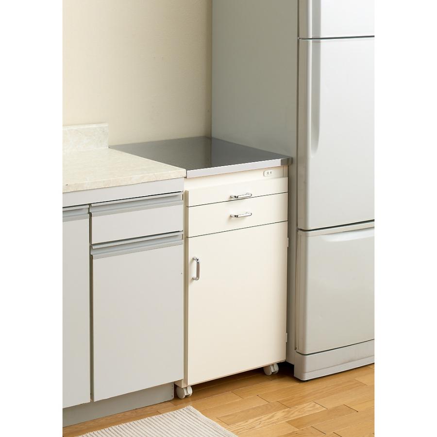 dinos（ディノス） ［幅44.5奥行55cm］ ステンレス天板隙間収納 扉