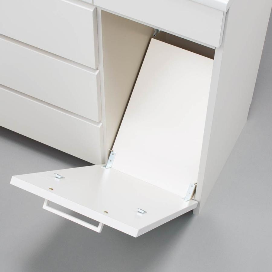 dinos ディノス 薄型フラップ収納チェスト 靴箱 トイレ収納 洗面所収納