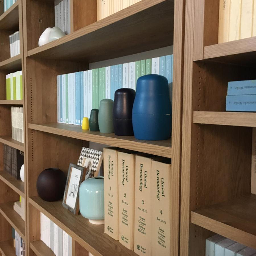 dinos（ディノス） 1台で壁いっぱいに本を収納！本好きのための壁面