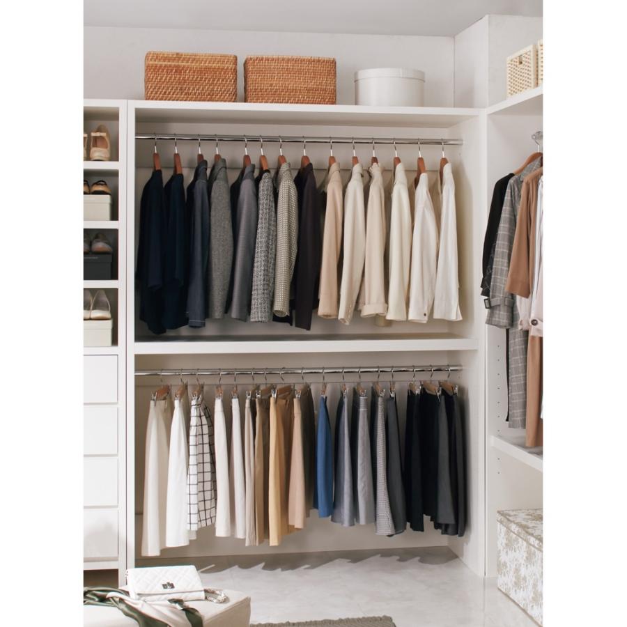 dinos（ディノス） ウォークインクローゼット収納シリーズ ハンガー