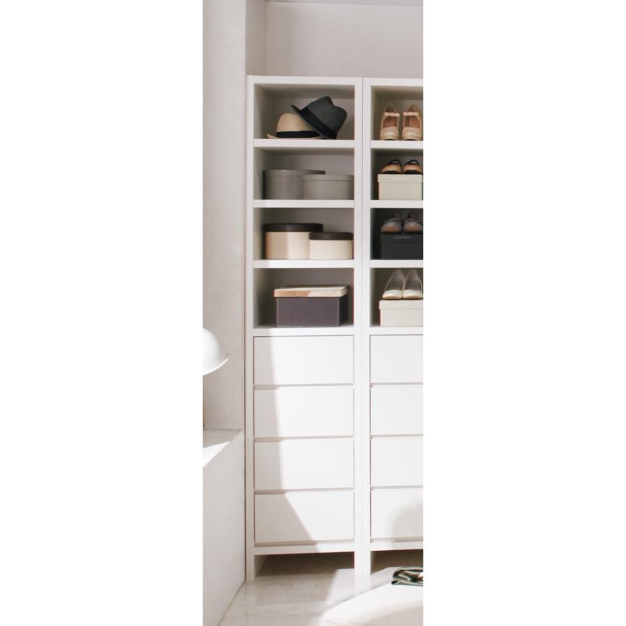 dinos（ディノス） ウォークインクローゼット収納シリーズ 引き出し