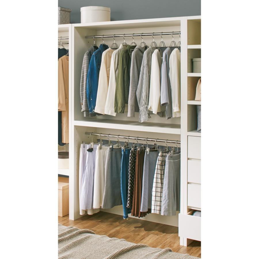 dinos（ディノス） ウォークインクローゼット収納シリーズ ハンガー