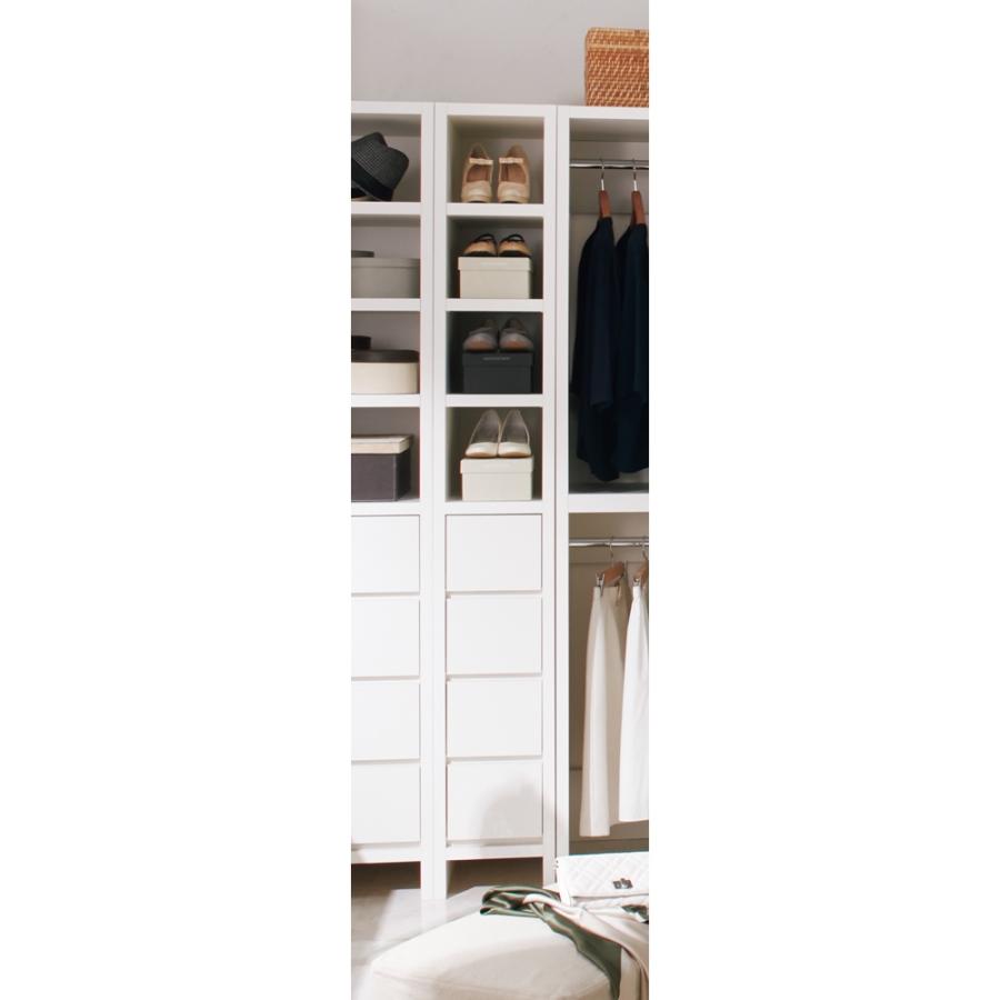 dinos（ディノス） ウォークインクローゼット収納シリーズ 引き出し