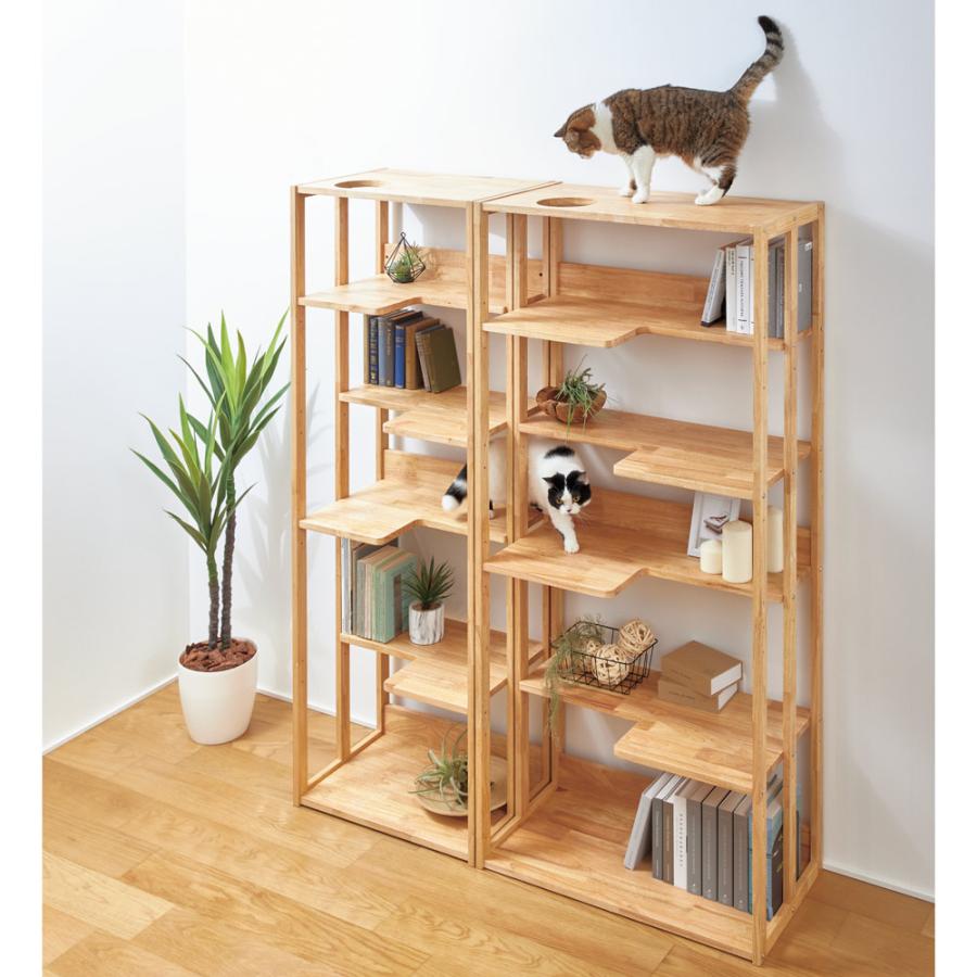 dinos アクリル製 オープンシェルフ dinos アクリル製 オープン