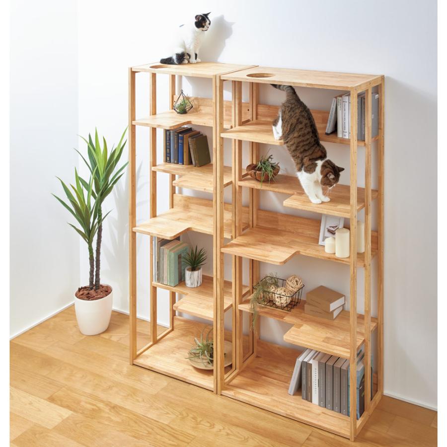 dinos（ディノス） 天然木の 猫も遊べる オープンラック 幅63cm ペット