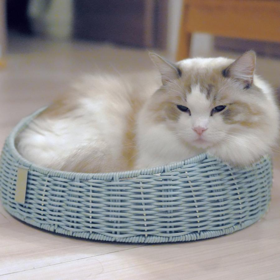 dinos（ディノス） キレーネPLUS 洗えるラタン 猫ちぐら ペット用品 猫