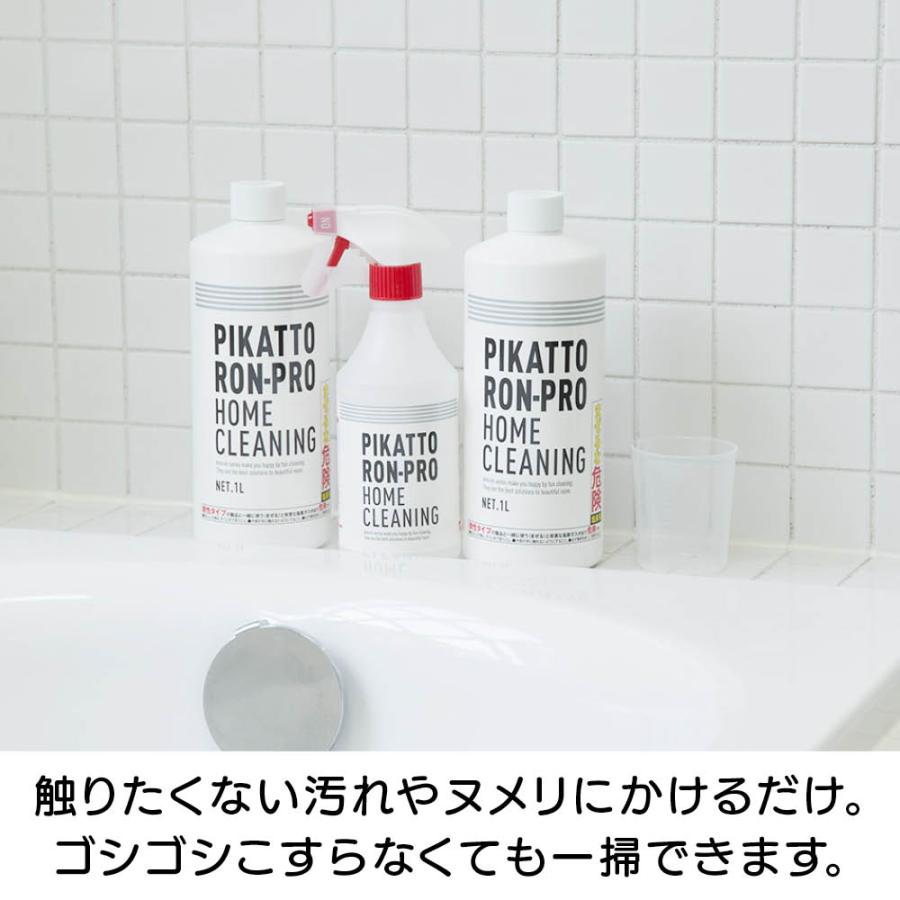 dinos（ディノス） 業務用 強力パイプ洗浄剤 「ピカットロンプロ」 2L