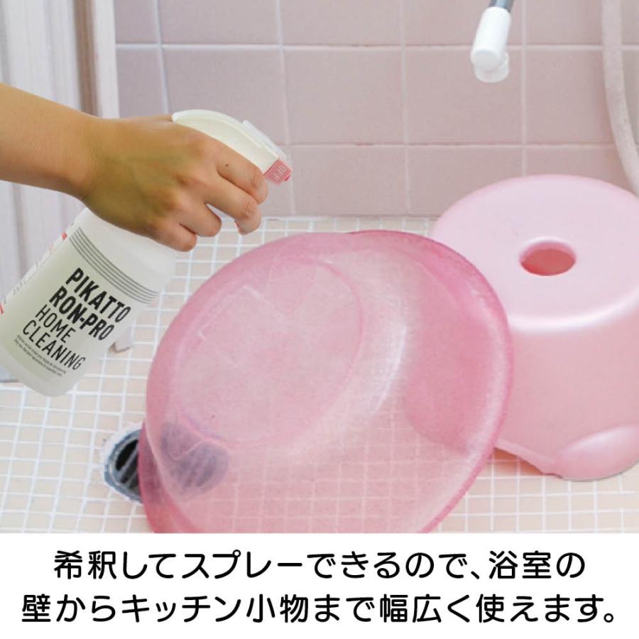 業務用 強力パイプ洗浄剤 「ピカットロンプロ」 4L 掃除 お手入れ用品 651403 ディノス_10