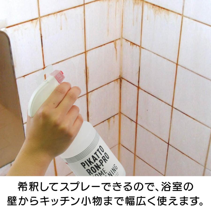 業務用 強力パイプ洗浄剤 「ピカットロンプロ」 4L 掃除 お手入れ用品 651403 ディノス_11