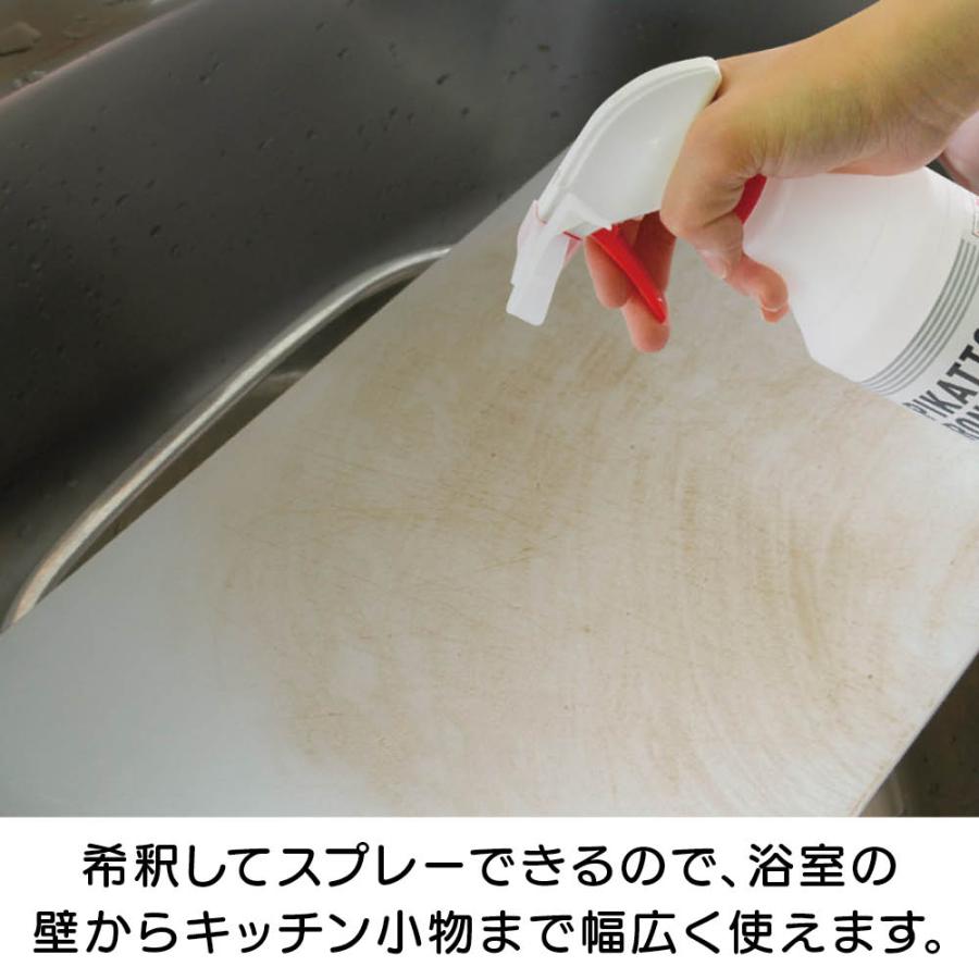 業務用 強力パイプ洗浄剤 「ピカットロンプロ」 4L 掃除 お手入れ用品 651403 ディノス_12